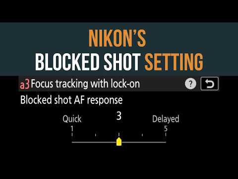 Nikon Focus Tips: Prevent AF from Jumping to the Wrong Subject