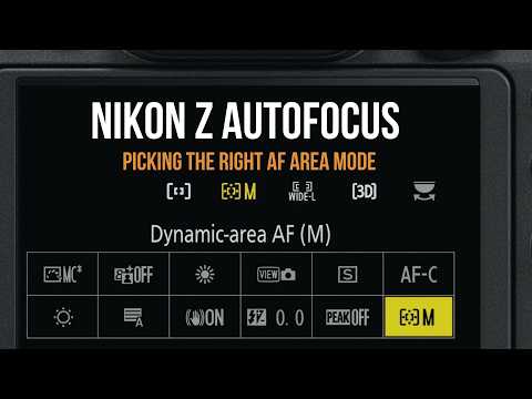 Nikon Z AF Area Modes: Which One to Use and When