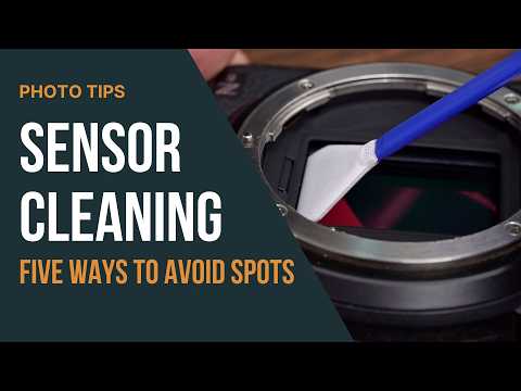 How to Clean Your Mirrorless Camera Sensor (and Keep It Clean!) | Step-by-Step Guide