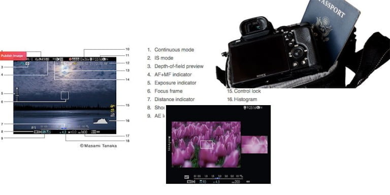 Advantages of Mirrorless Cameras vs DSLRs