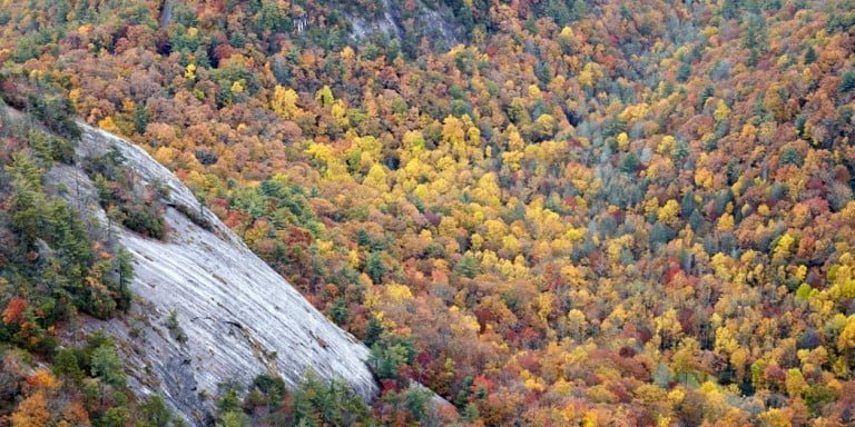 The Case for Setting White Balance In-Camera