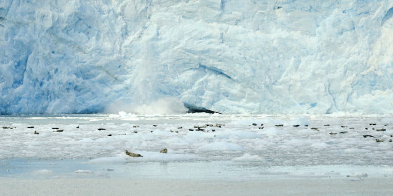 kenai fjords boat tour