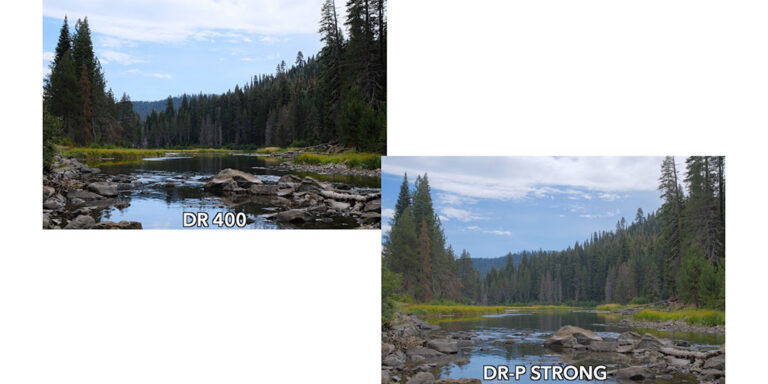 Fujifilm Dynamic Range Priority vs Dynamic Range