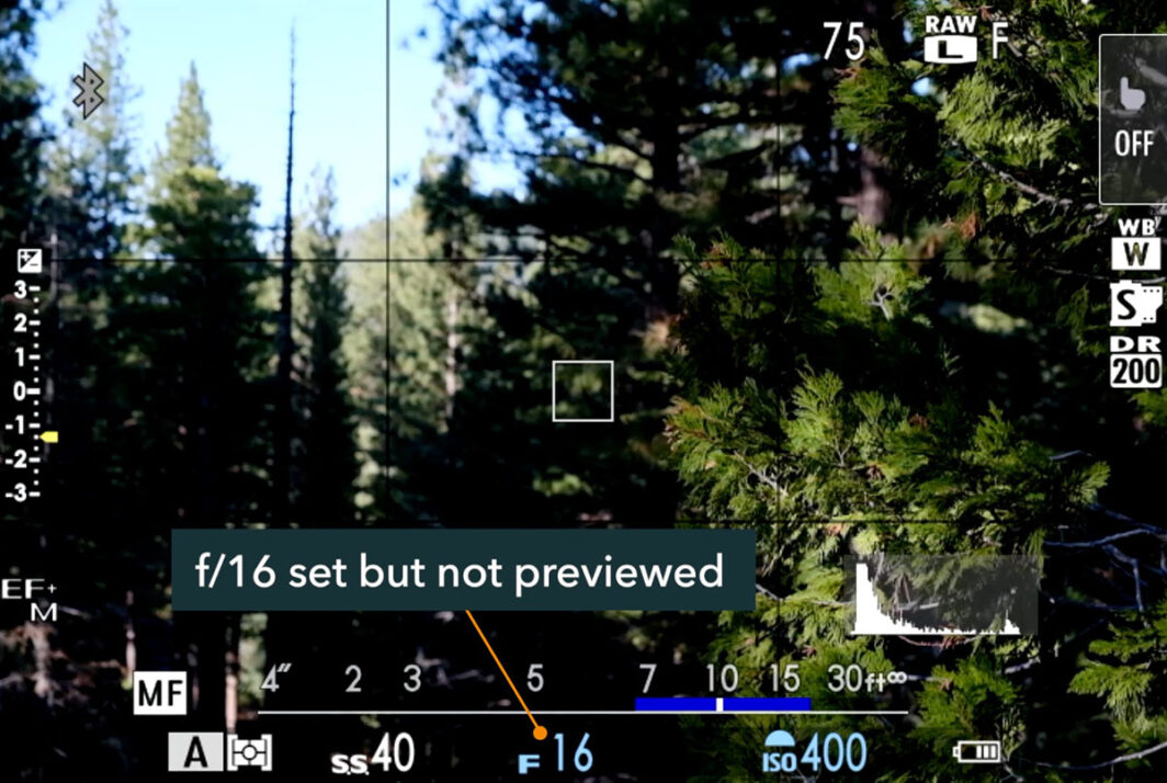 preview depth of field