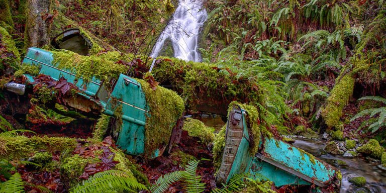 Ethics in Nature Photography: An Interview with Drake Dyck