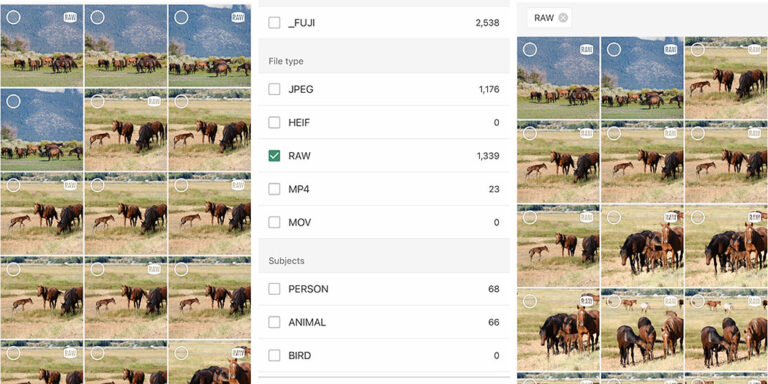Fujifilm XApp New Feature - Transfer RAW Files