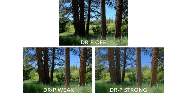 Guide to Fujifilm Image Quality Settings