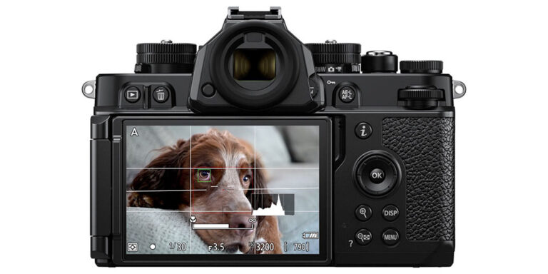 How to Use Manual Focus with Subject Detection in Nikon Z Cameras