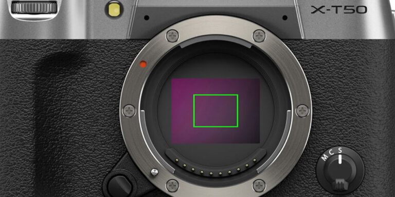 What Are Digital Teleconverters? Are They Substitutes for Lenses?