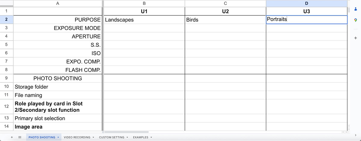 program nikon user settings