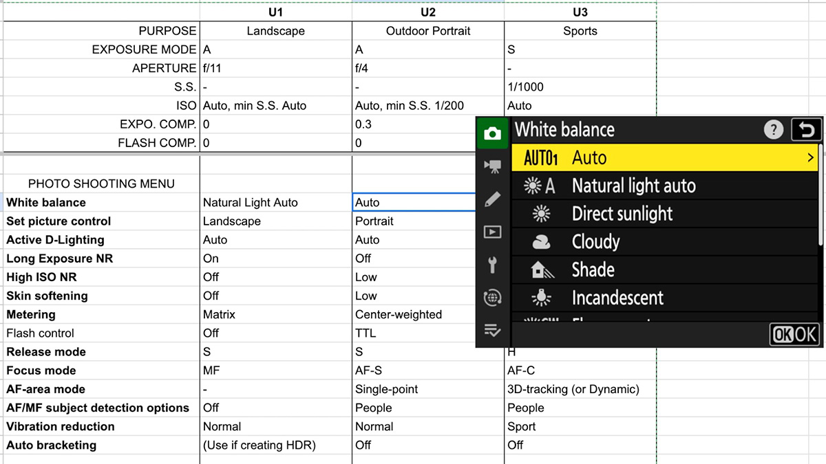 program nikon user settings
