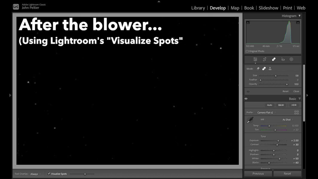 visualize spots