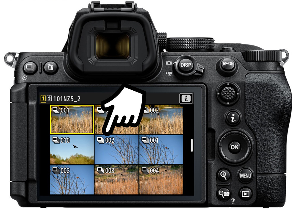 z5ii series playback