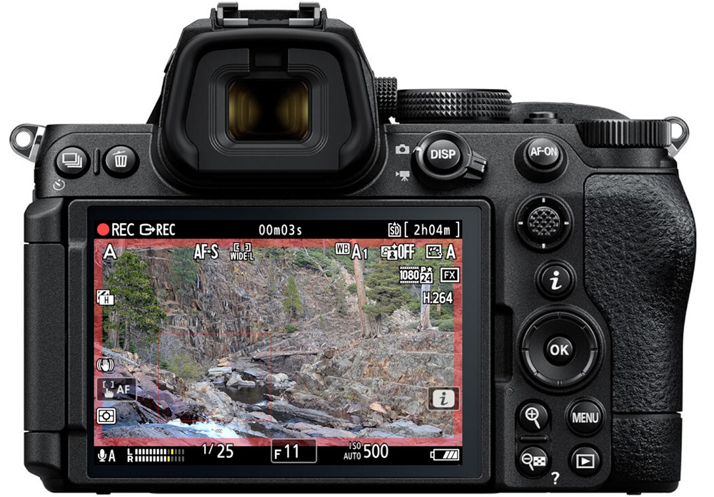 nikon red rec frame indicator