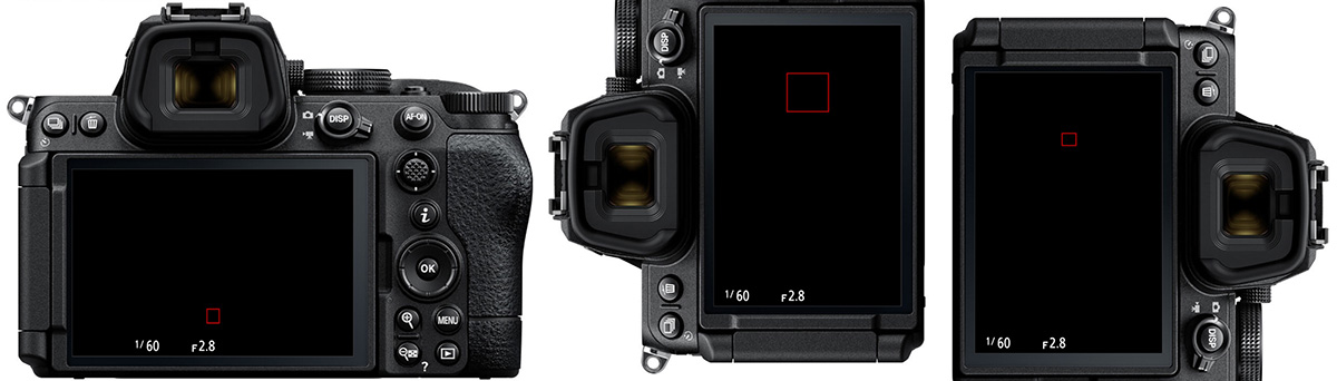 nikon store points by orientation