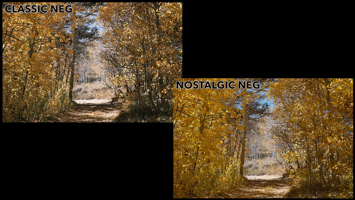 classic neg vs nostalgic neg