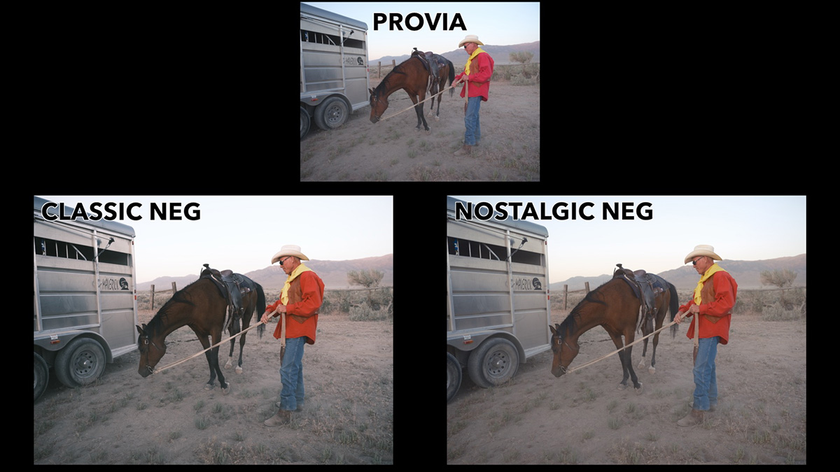 classic neg vs nostalgic neg warm colors