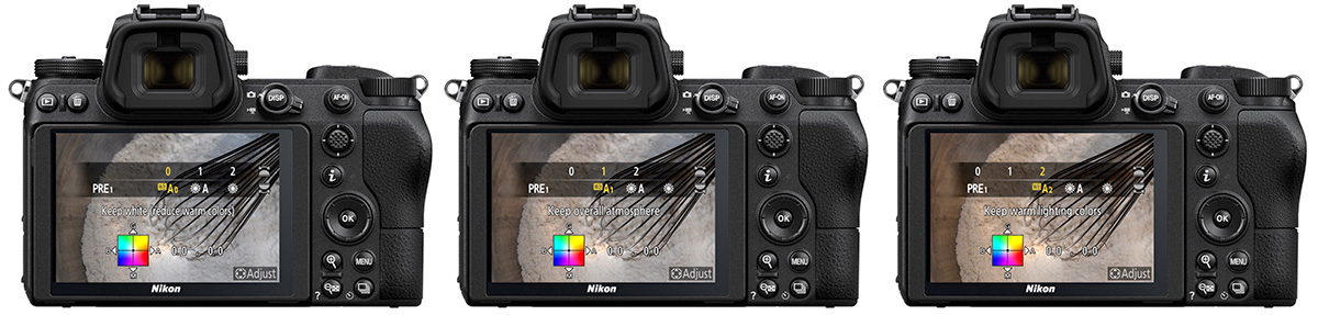 Nikon auto white balance comparisons