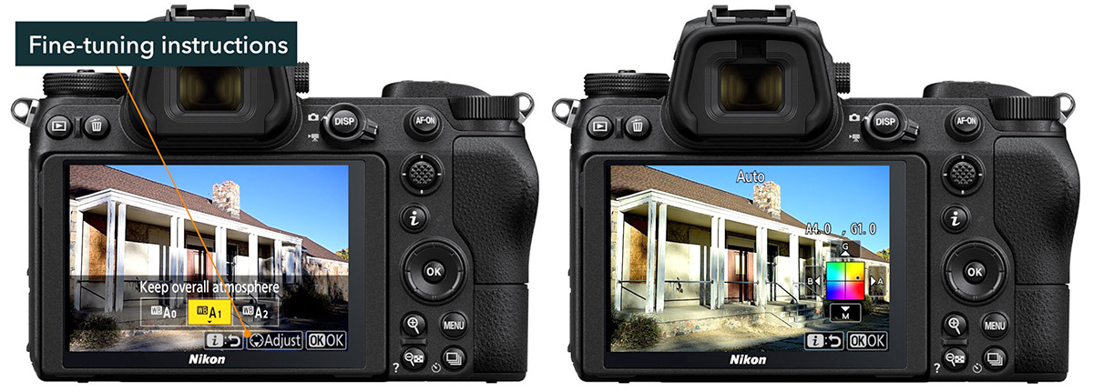 nikon fine tune white balance