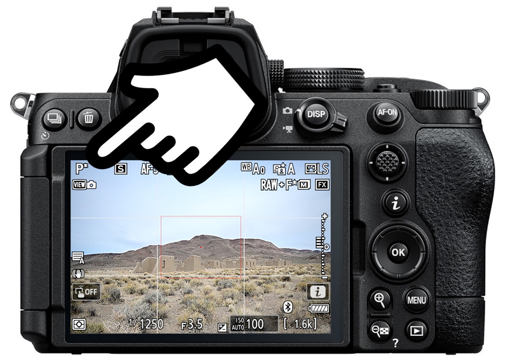 nikon flexible program indication