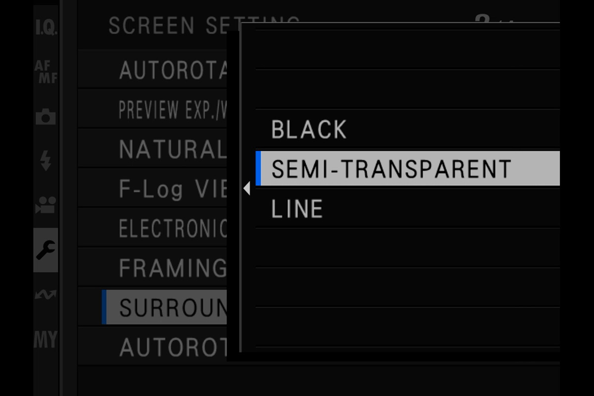 surround view setting