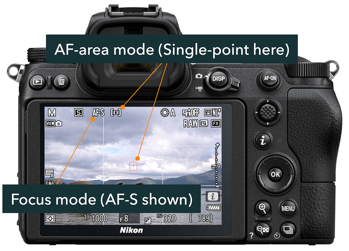 focus mode vs af area mode