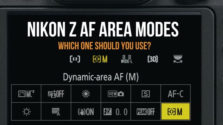 Nikon Z AF Area Modes: Which One to Use and When