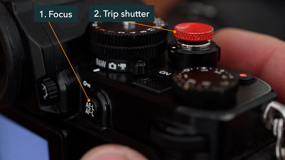 nikon zf bbf setup