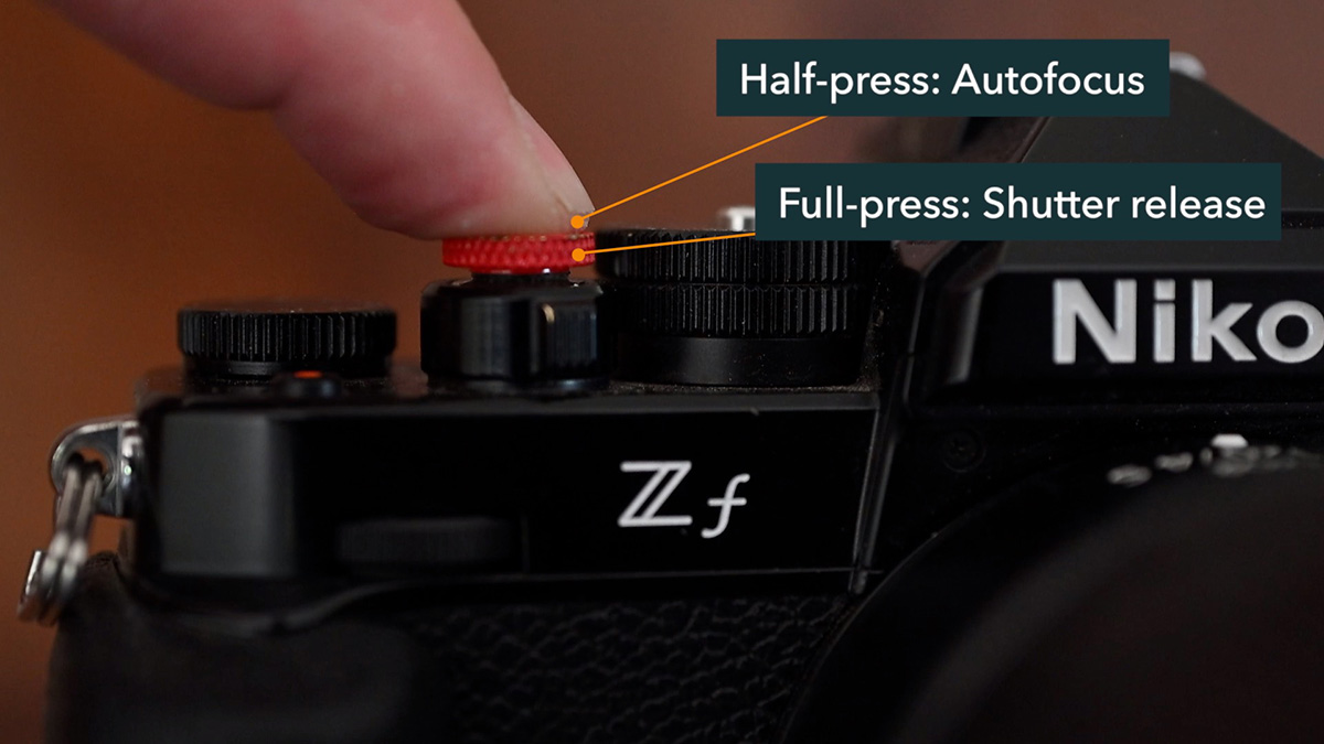 nikon zf shutter setup