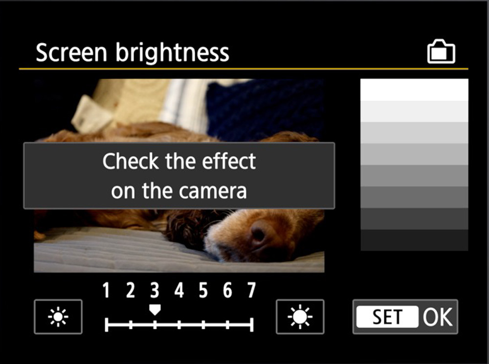 screen brightness