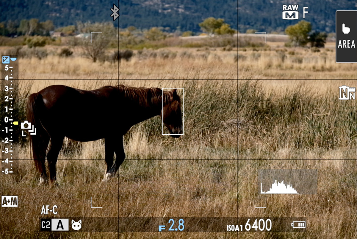 fuji subject tracking