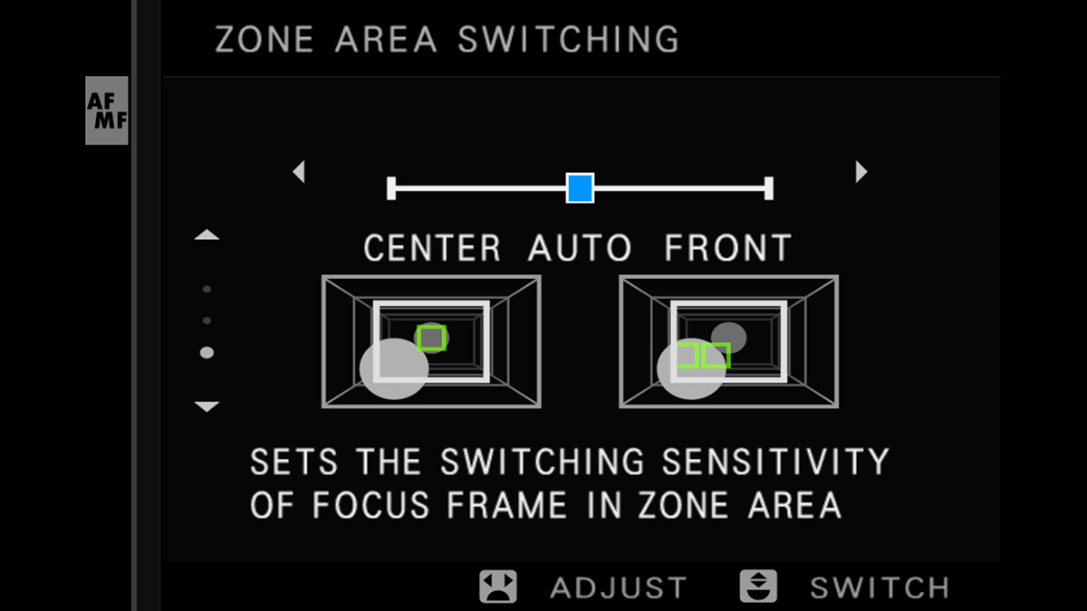 fuji zone area switching