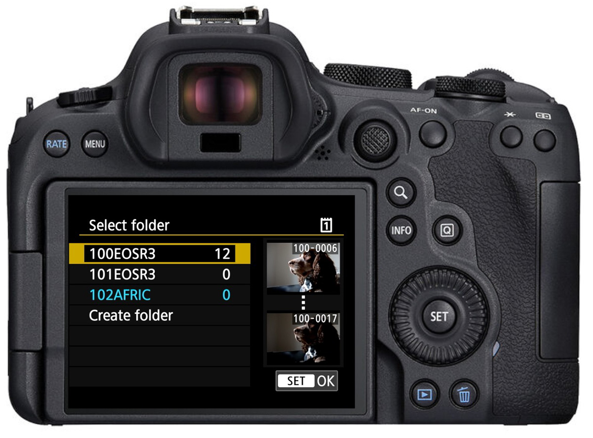 canon r custom folders
