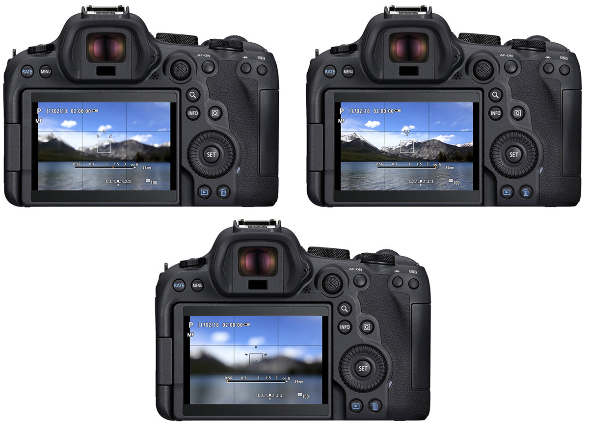 canon r manual focus guide