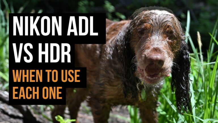 Nikon Active D-Lighting vs HDR Mode: When to Use Each One