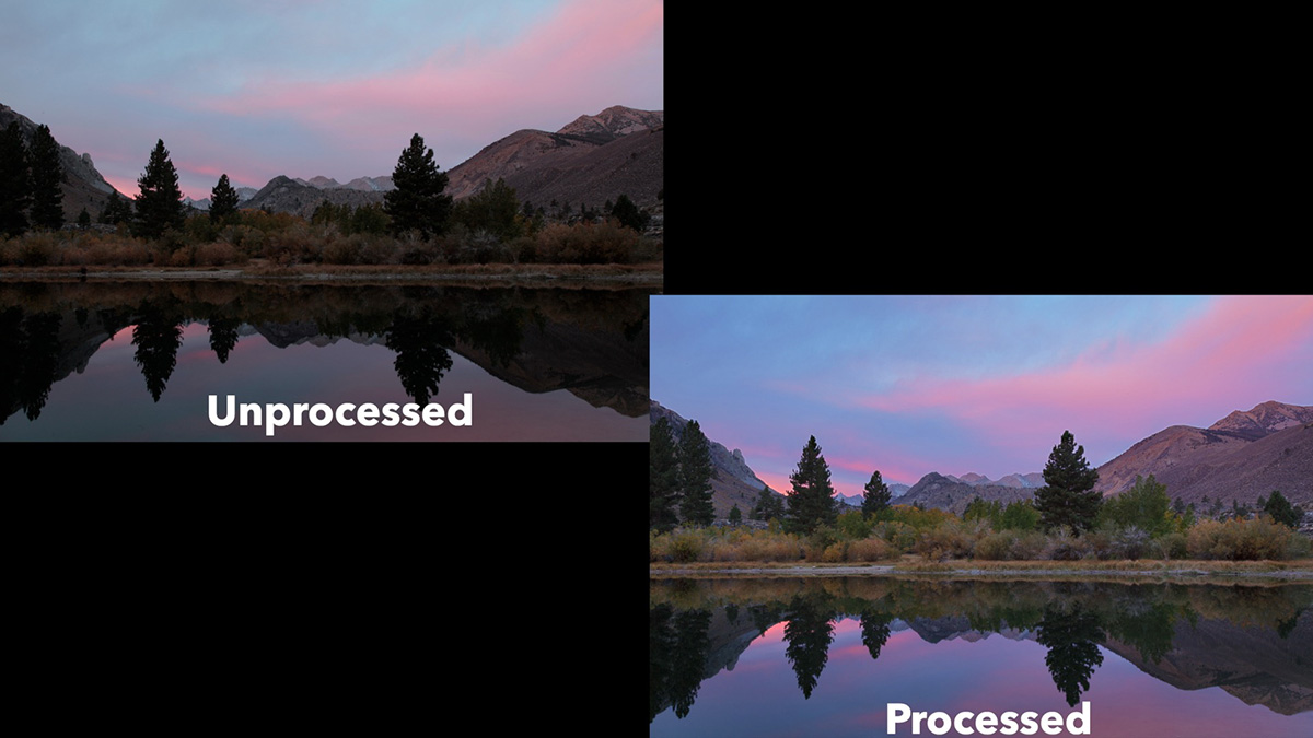 raw vs jpeg