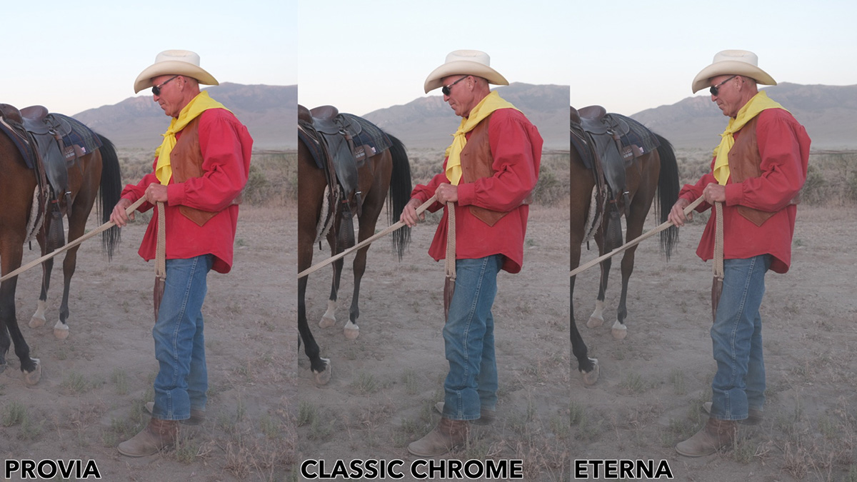eterna vs classic chrome color