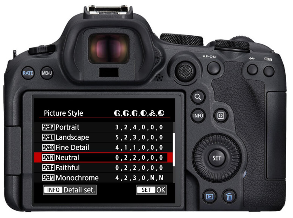 picture style menu