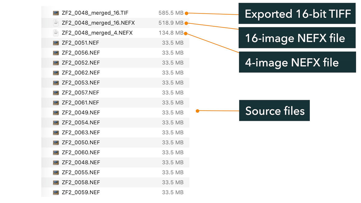 pixel shift file sizes
