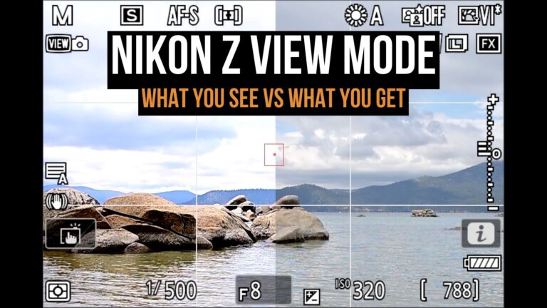 Nikon’s View Mode Setting: What You See vs What You Get