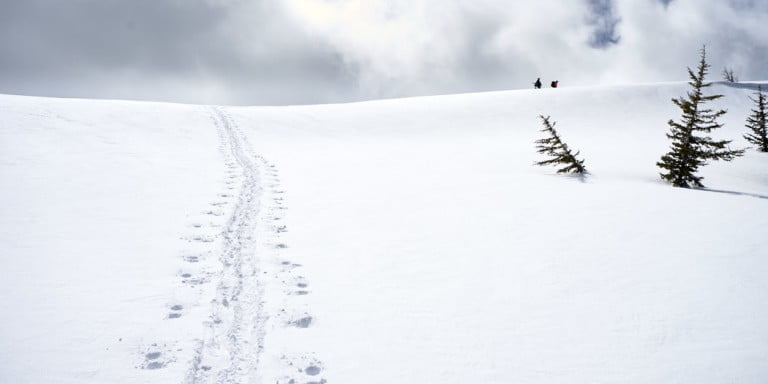 5 Essential Winter Photography Tips: Using Your Camera in the Cold