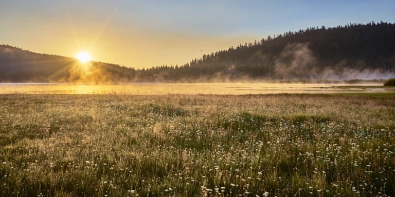 Should Photographers Donate Time & Shoot For Free?